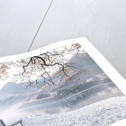 Bench by still lake by Assaf Frank